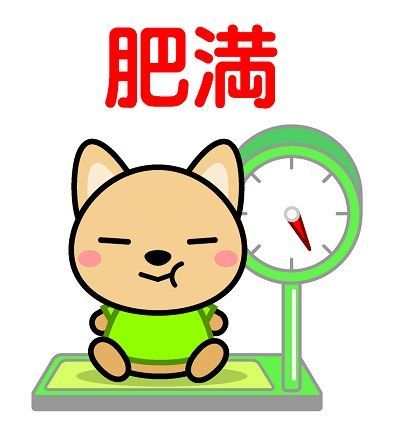 f:id:masanodiet:20190930162242j:plain