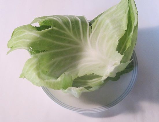 f:id:masanodiet:20191002164725j:plain f:id:masanodiet:20191002164725j:plain