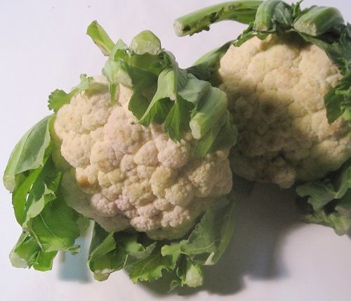 f:id:masanodiet:20191111062220j:plain f:id:masanodiet:20191111062220j:plain
