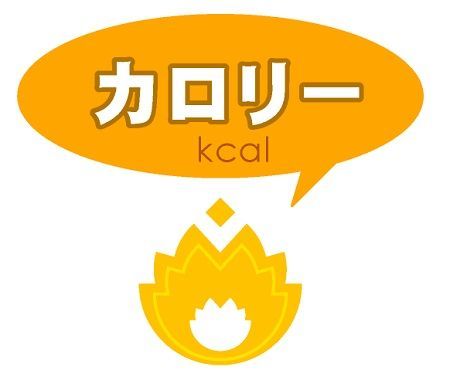 f:id:masanodiet:20191112080635j:plain