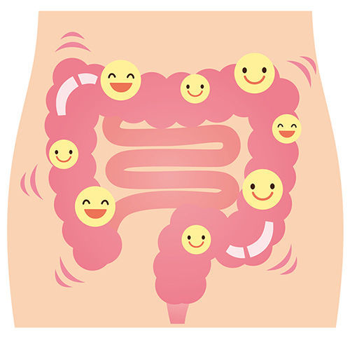 f:id:masanodiet:20191211074519j:plain