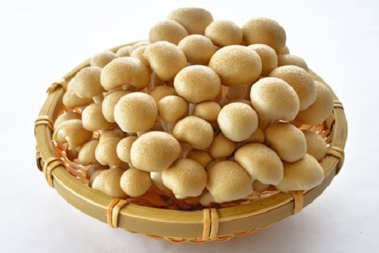 f:id:masanodiet:20200704054244j:plain f:id:masanodiet:20200704054244j:plain