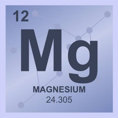 f:id:masanodiet:20201218075523j:plain