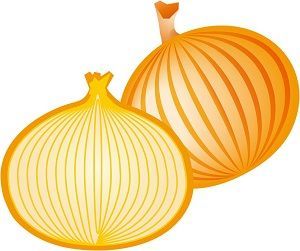 f:id:masanodiet:20201224180155j:plain