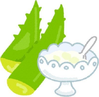 f:id:masanodiet:20210309064347j:plain