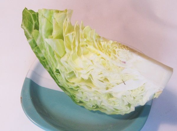 f:id:masanodiet:20211202141752j:plain