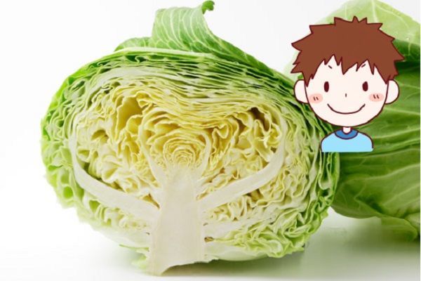 f:id:masanodiet:20211209082444j:plain