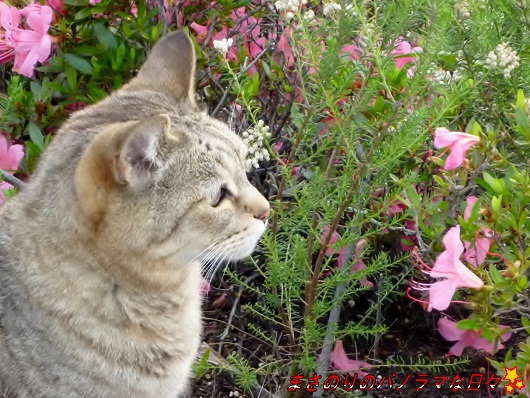 20110604175729