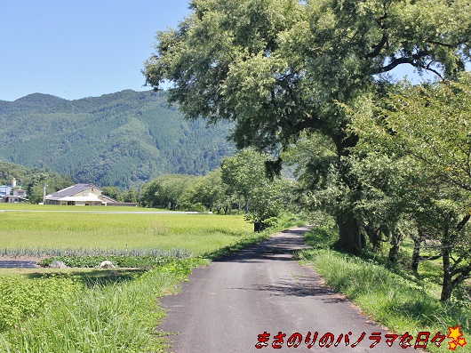 f:id:masanori2000GT:20190907123507j:plain