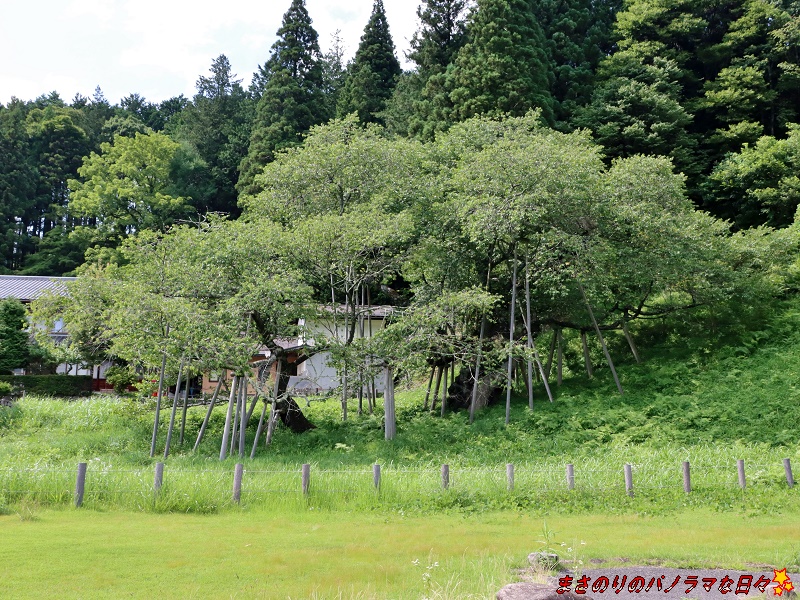 f:id:masanori2000GT:20210731143303j:plain