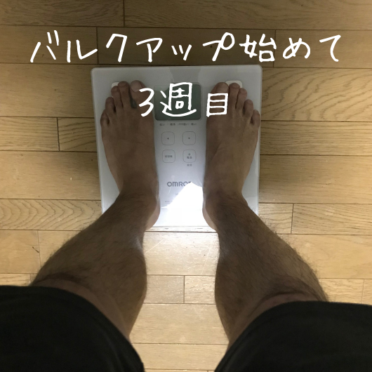 f:id:masansa:20181205193146p:plain f:id:masansa:20181205193146p:plain