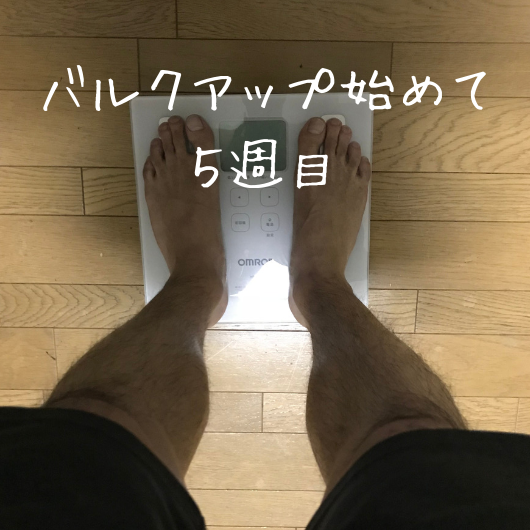 f:id:masansa:20181220185633p:plain f:id:masansa:20181220185633p:plain