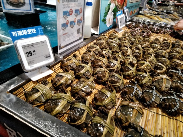 f:id:masaomik:20181031110501j:image