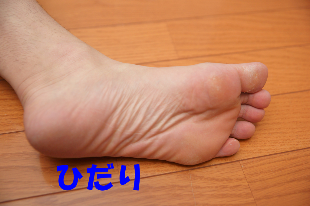 f:id:masaphoto:20181014224830j:plain f:id:masaphoto:20181014224830j:plain