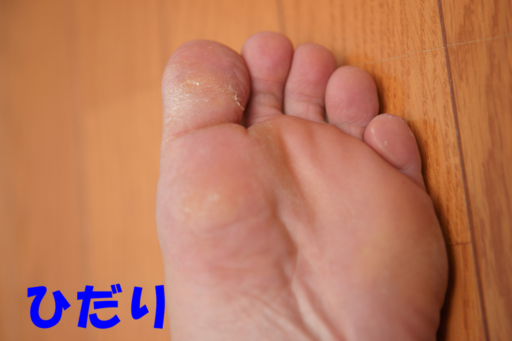 f:id:masaphoto:20181014224836j:plain f:id:masaphoto:20181014224836j:plain