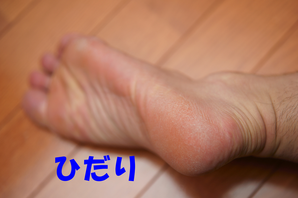 f:id:masaphoto:20181014224841j:plain f:id:masaphoto:20181014224841j:plain