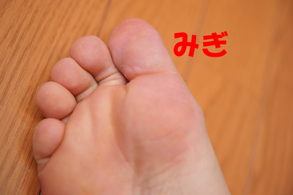 f:id:masaphoto:20181014225706j:plain f:id:masaphoto:20181014225706j:plain