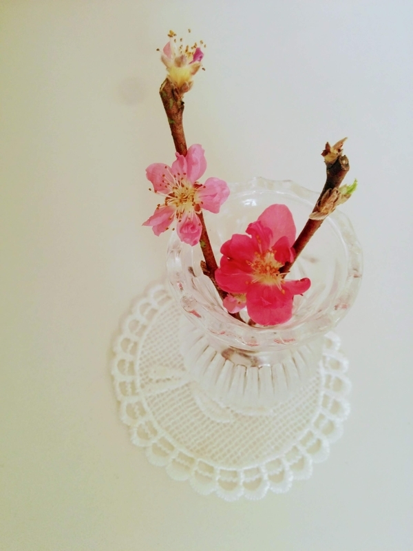 f:id:masapn:20210304144230j:plain
