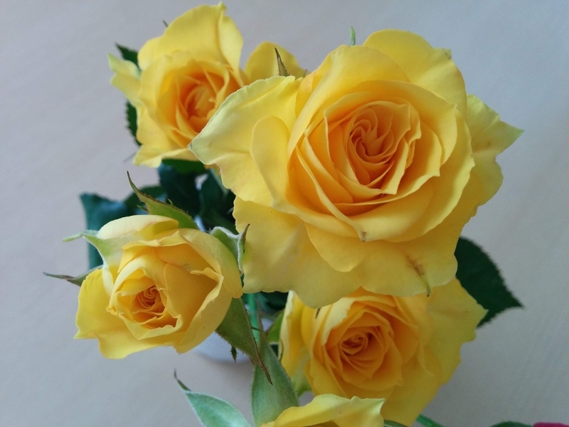 f:id:masapn:20210607161502j:plain