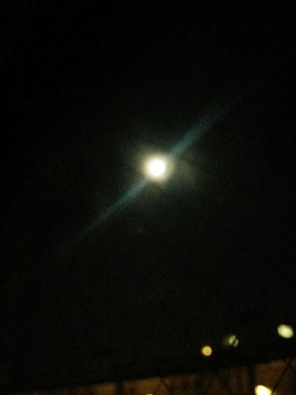 f:id:masapn:20210922153902j:plain