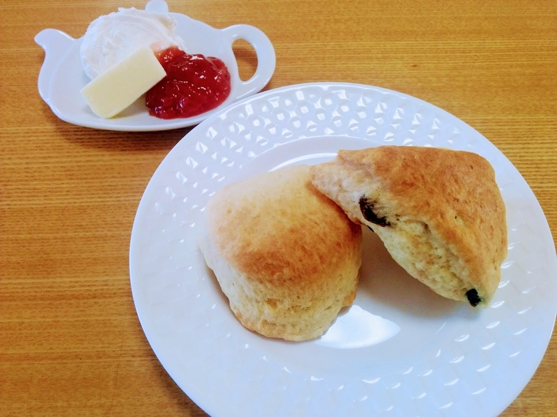 f:id:masapn:20220226130212j:plain