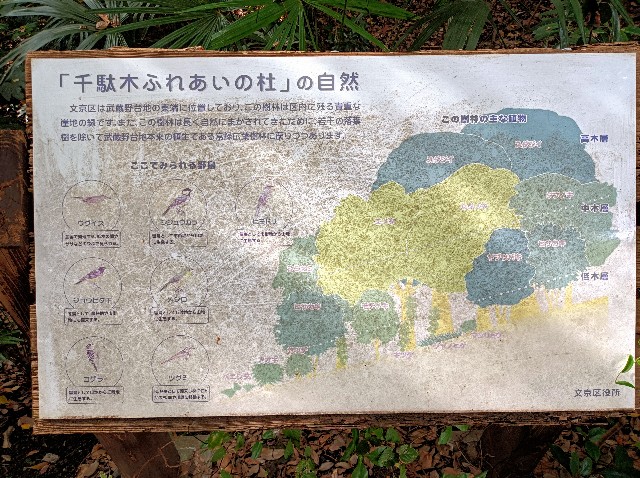 f:id:masapn:20250314161223j:image