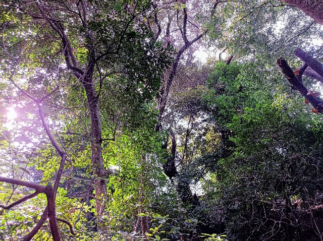f:id:masapn:20250314161416j:image