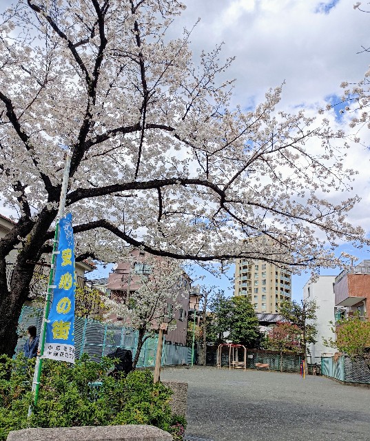 f:id:masapn:20250404165652j:image