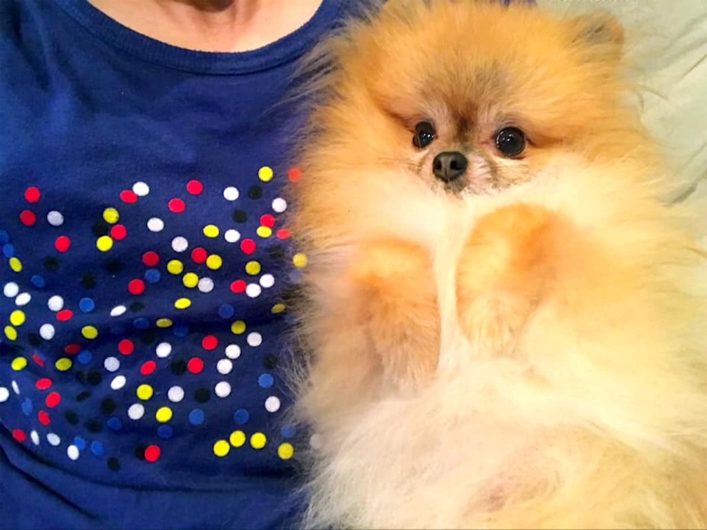 f:id:masapple22:20190825120358j:image