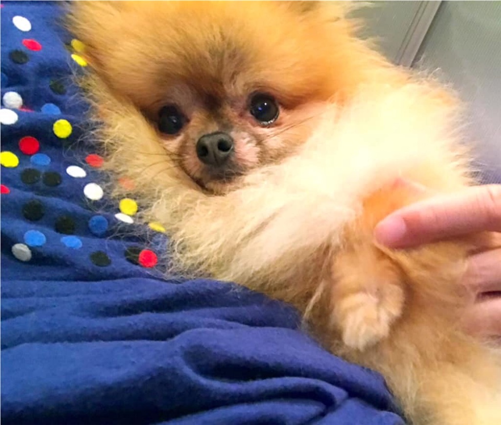 f:id:masapple22:20190825120401j:image