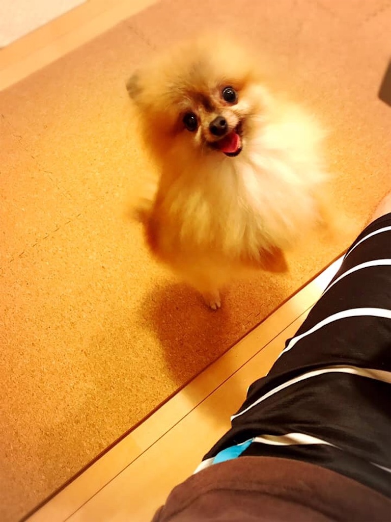 f:id:masapple22:20190825120450j:image
