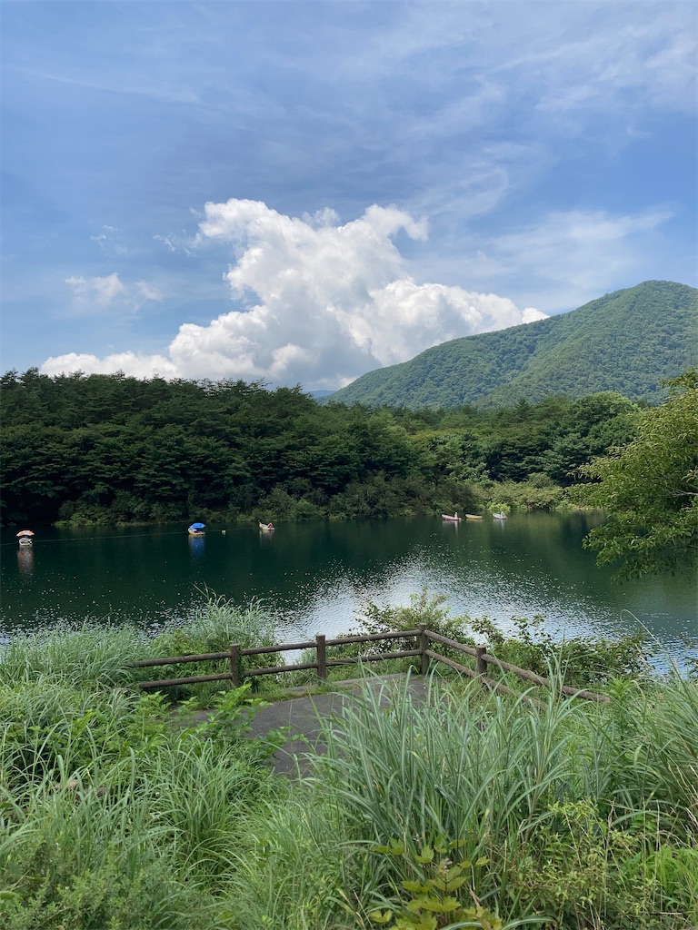 f:id:masaru-arameya:20200821144342j:image f:id:masaru-arameya:20200821144342j:image