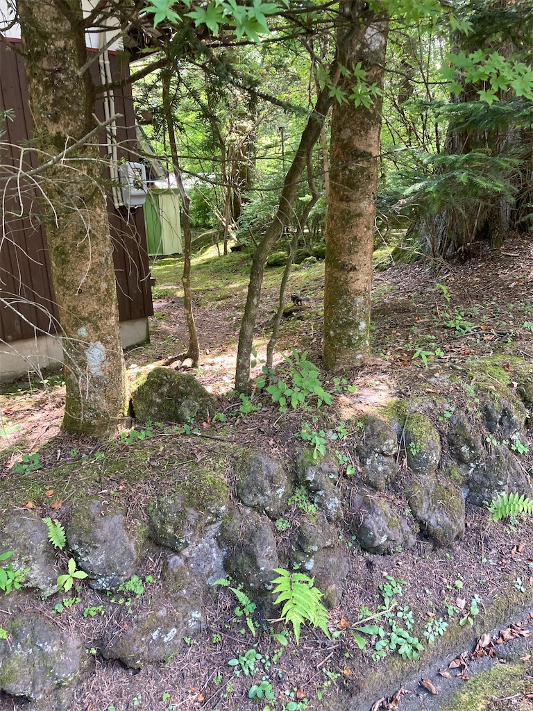 f:id:masaru-arameya:20200828163604j:image f:id:masaru-arameya:20200828163604j:image