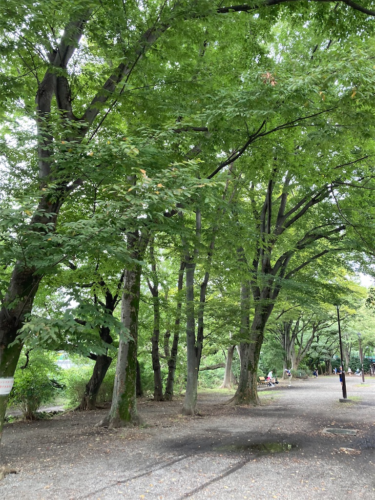 f:id:masaru-arameya:20200914151655j:image f:id:masaru-arameya:20200914151655j:image