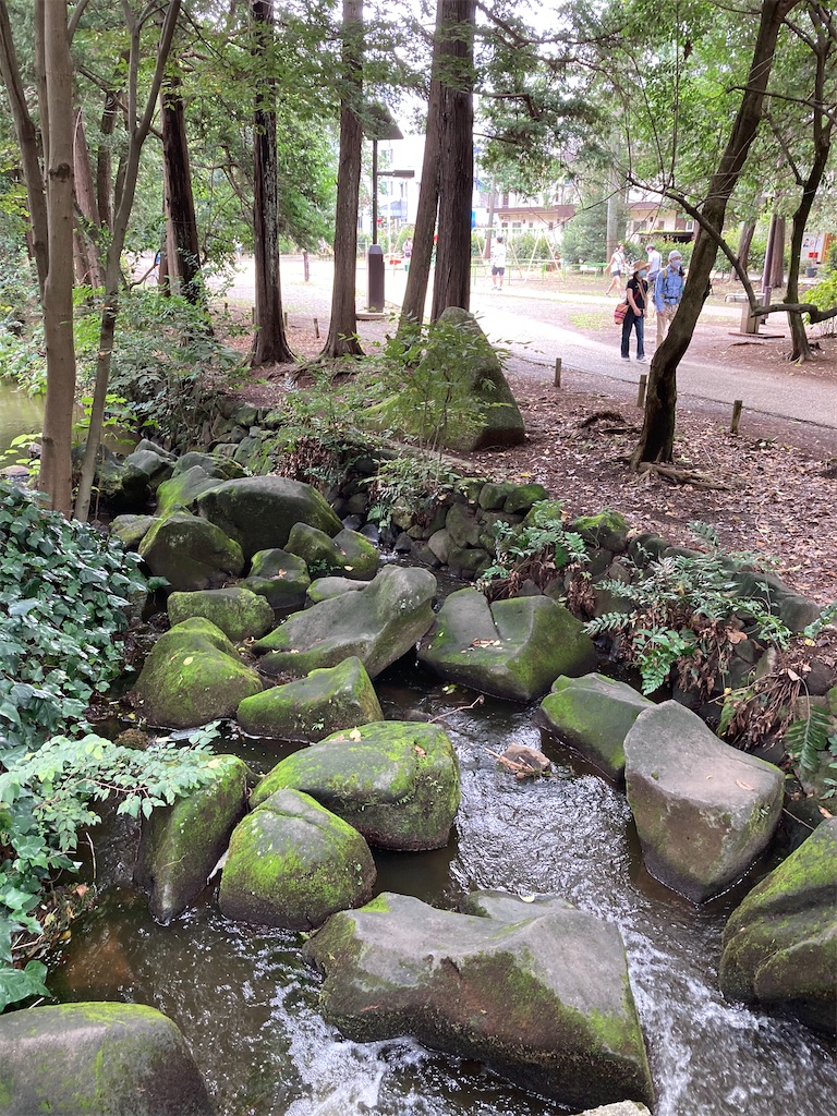 f:id:masaru-arameya:20200914151919j:image f:id:masaru-arameya:20200914151919j:image