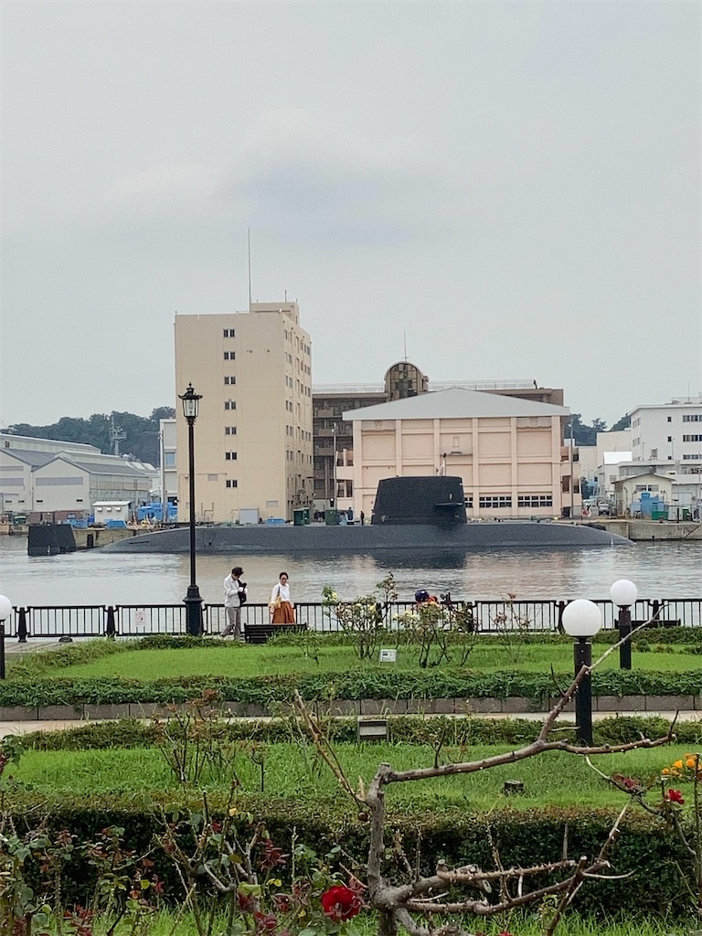 f:id:masaru-arameya:20200922090534j:image f:id:masaru-arameya:20200922090534j:image