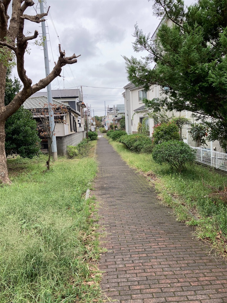 f:id:masaru-arameya:20200930150140j:image f:id:masaru-arameya:20200930150140j:image