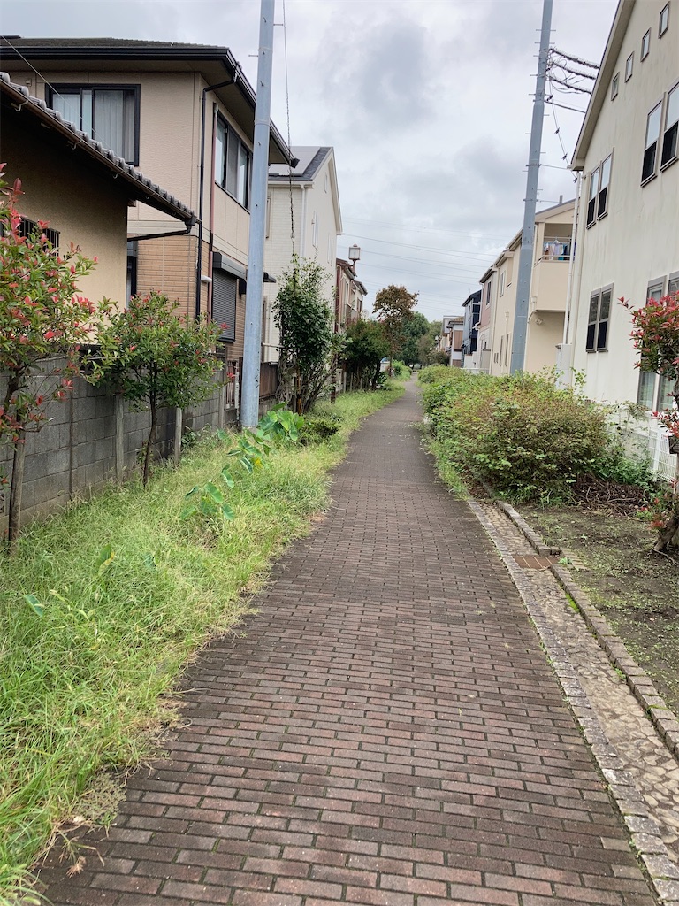 f:id:masaru-arameya:20200930150145j:image f:id:masaru-arameya:20200930150145j:image