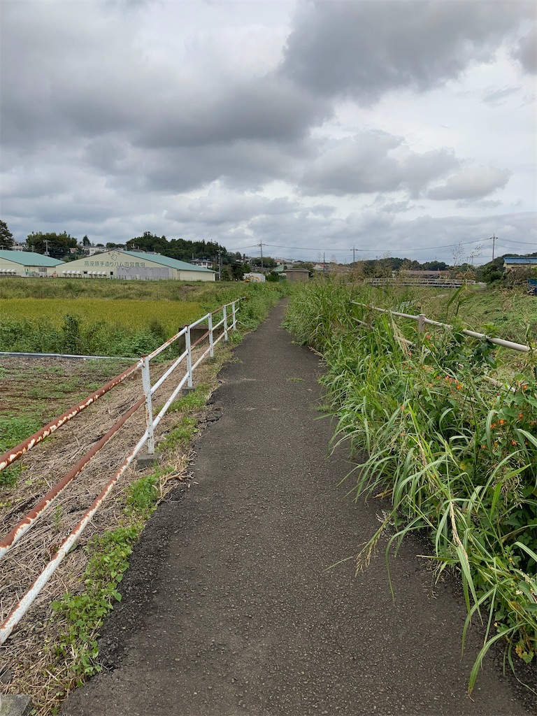 f:id:masaru-arameya:20200930151546j:image f:id:masaru-arameya:20200930151546j:image