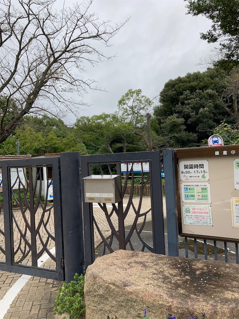 f:id:masaru-arameya:20201012064458j:image f:id:masaru-arameya:20201012064458j:image