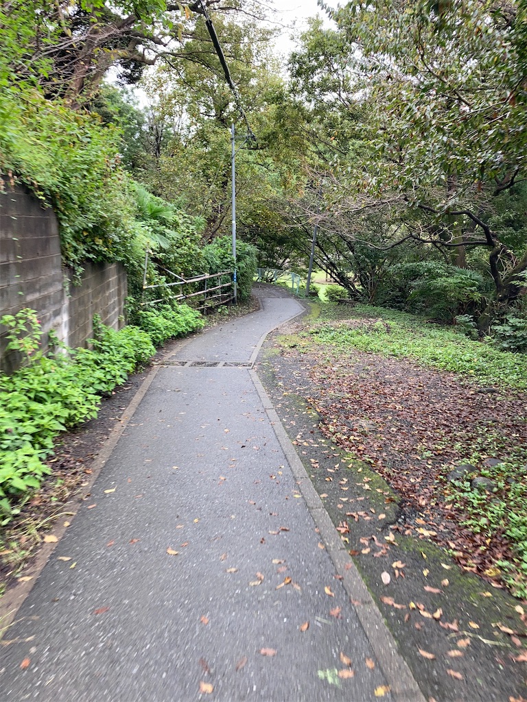 f:id:masaru-arameya:20201012064900j:image f:id:masaru-arameya:20201012064900j:image