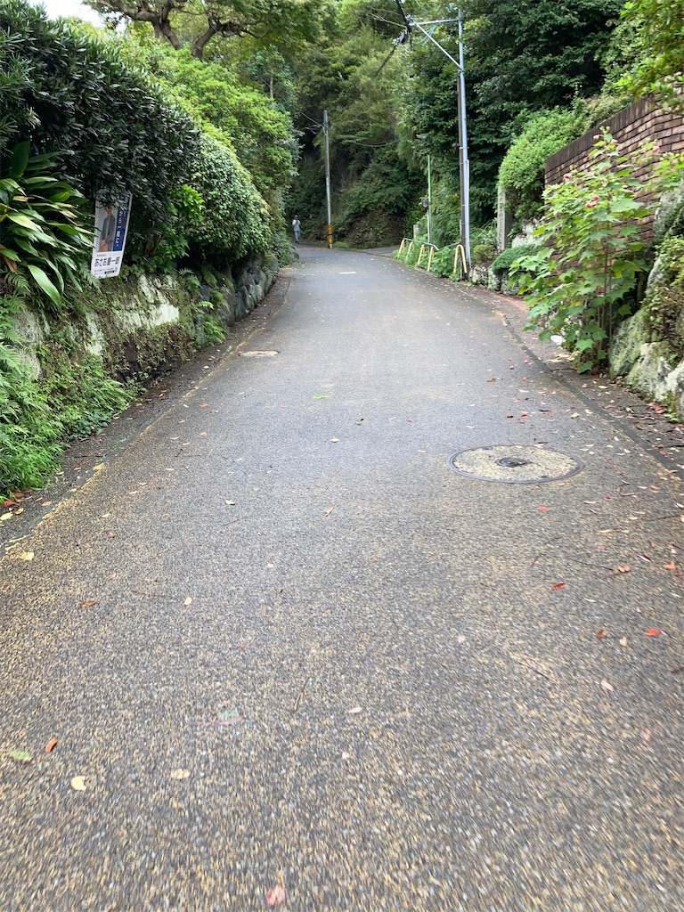f:id:masaru-arameya:20201012065202j:image f:id:masaru-arameya:20201012065202j:image