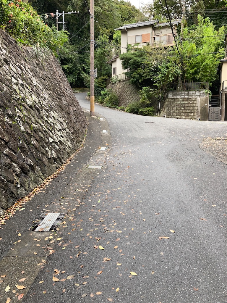 f:id:masaru-arameya:20201012065501j:image f:id:masaru-arameya:20201012065501j:image
