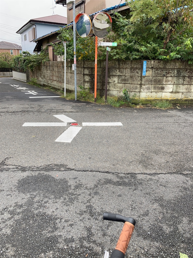 f:id:masaru-arameya:20201012065608j:image f:id:masaru-arameya:20201012065608j:image