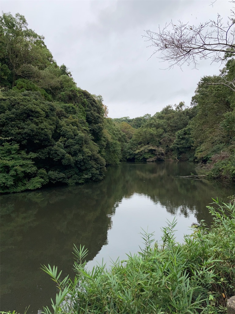 f:id:masaru-arameya:20201012065724j:image f:id:masaru-arameya:20201012065724j:image