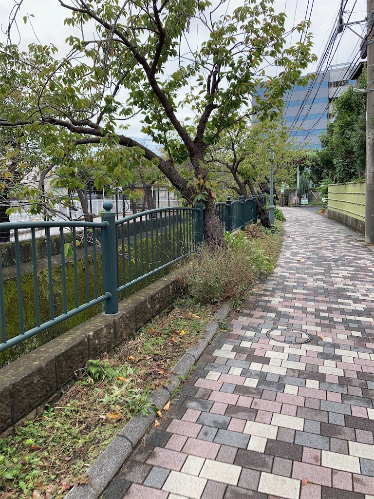 f:id:masaru-arameya:20201012065809j:image f:id:masaru-arameya:20201012065809j:image