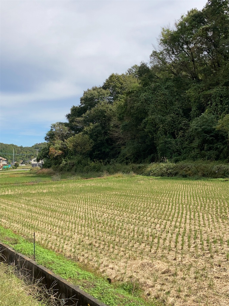f:id:masaru-arameya:20201018180611j:image f:id:masaru-arameya:20201018180611j:image