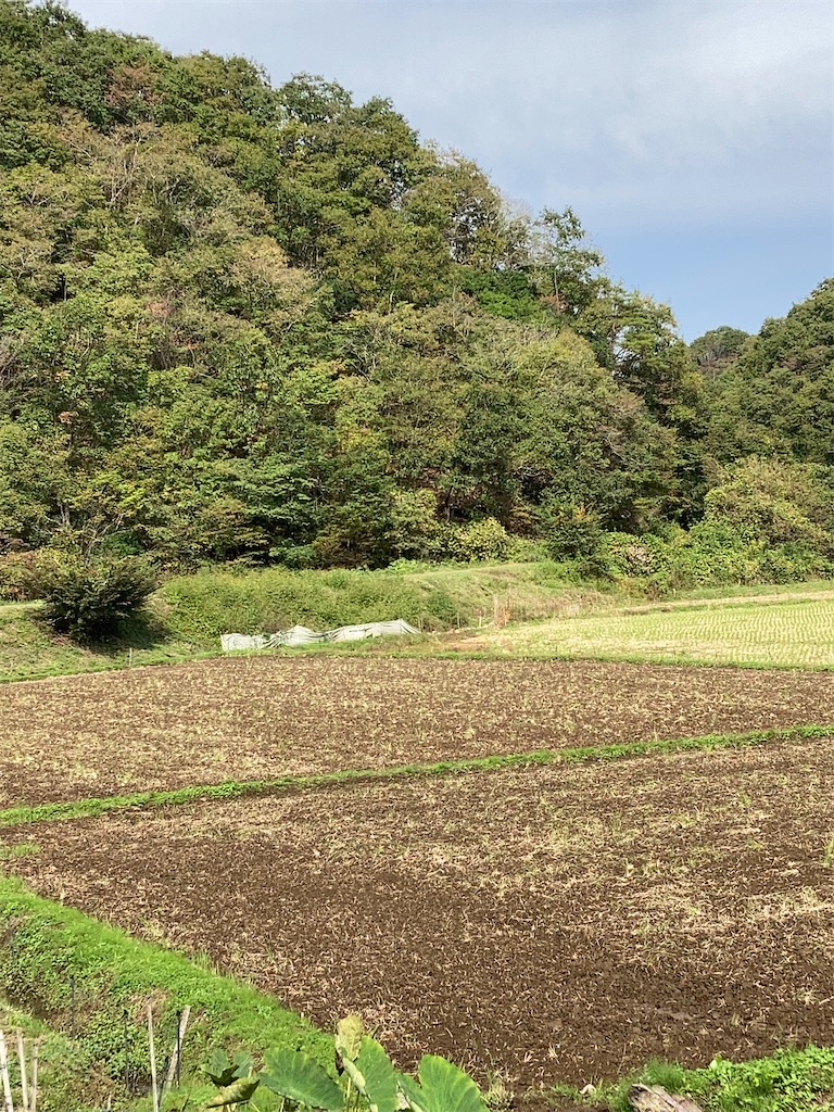 f:id:masaru-arameya:20201018180828j:image f:id:masaru-arameya:20201018180828j:image