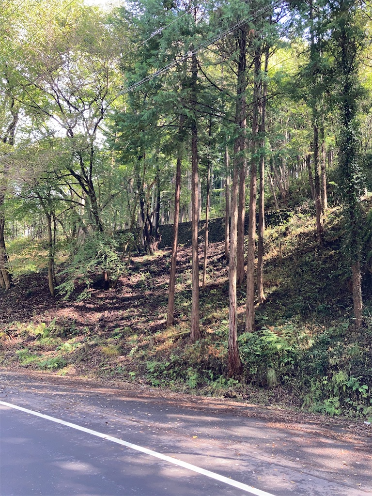 f:id:masaru-arameya:20201018182546j:image f:id:masaru-arameya:20201018182546j:image