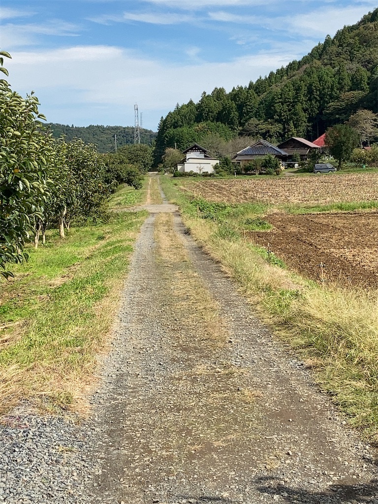 f:id:masaru-arameya:20201018183012j:image f:id:masaru-arameya:20201018183012j:image